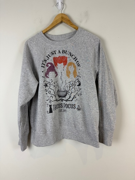 Disney Tops - Disney Hocus Pocus Gray Sweatshirt with Purple, Orange & Gold Graphics